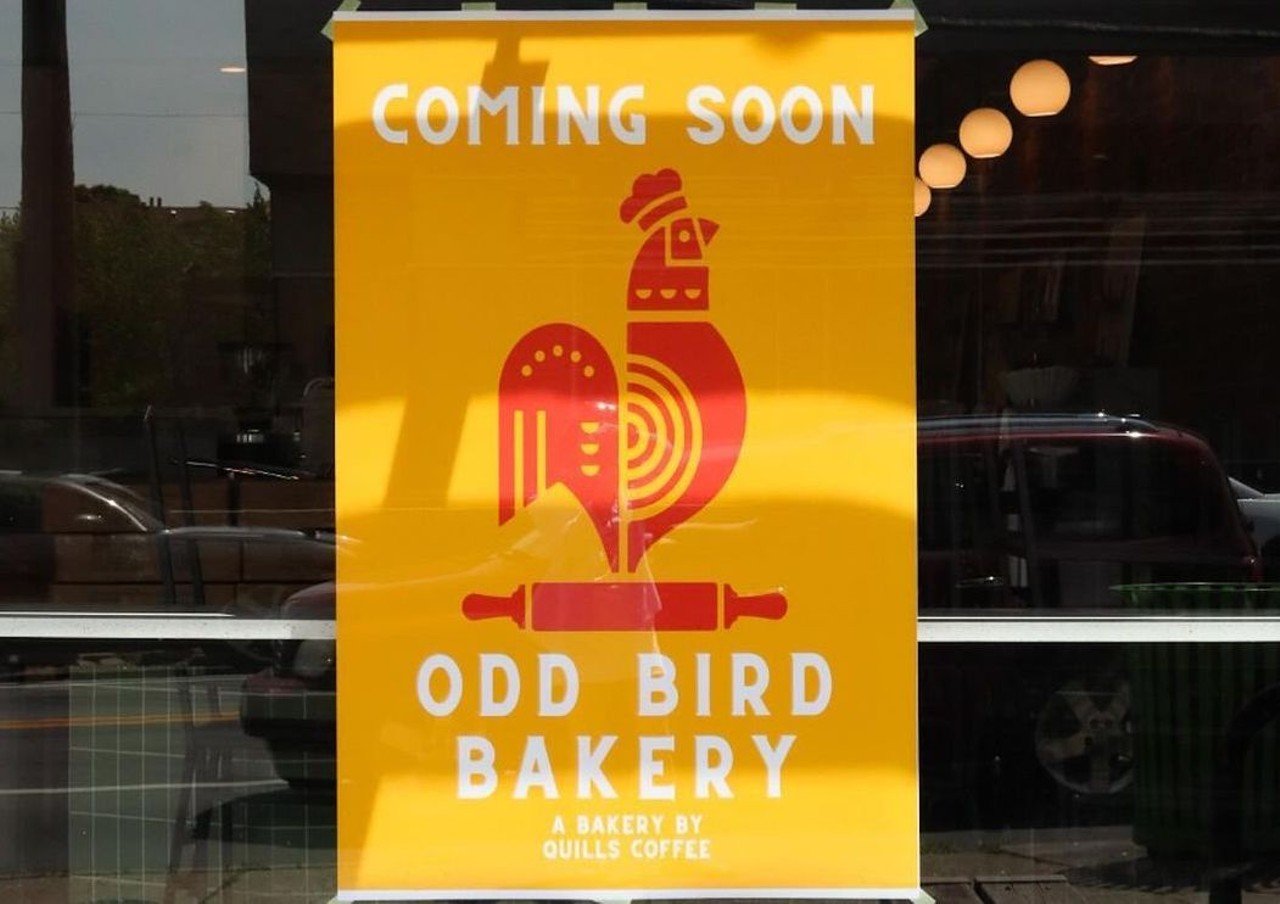 Oddbird Bakery
1021 Bardstown Road
Quills Coffee is expanding its reach with Oddbird Bakery, taking over the old Steel City Pops spot on Bardstown Road. While the official opening date is still under wraps, Oddbird promises to bring a range of tasty baked goods, including croissants, pain au chocolat, and muffins. Originally slated for a Summer 2024 opening, we’re still patiently awaiting the day this yummy new project opens its doors!