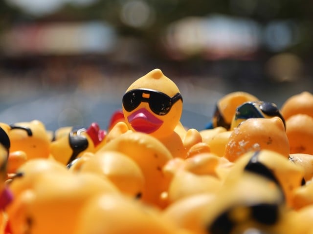 Adopt A Duck For A Good Cause At The 2024 Ken-Ducky Derby