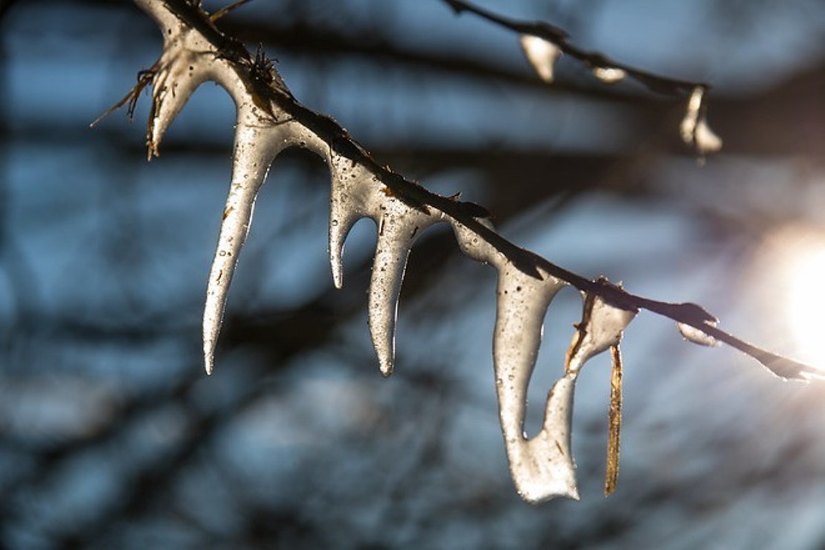 Ice did not lead to widespread power outages in Louisville on Friday.