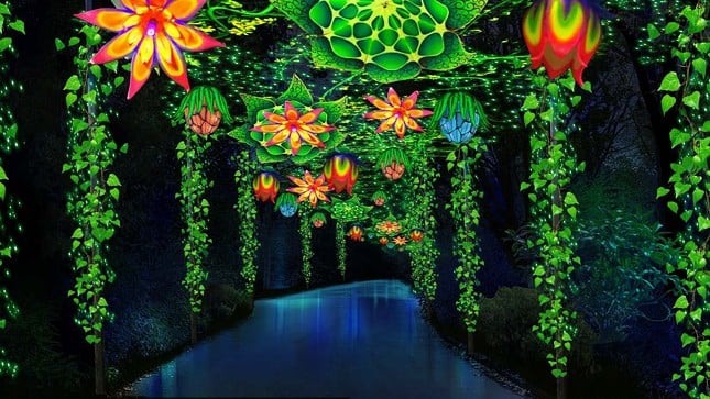 Wild Lights at the Louisville Zoo
1100 Trevilian Way
This yearly collection of exquisite and intricate Chinese lanterns illuminates the Louisville Zoo in glowing bright colors creating a magical evening event perfect for the whole family. Opening March 23 and running through May 19. Dated tickets start at $19 and Anytime Tickets are $26.