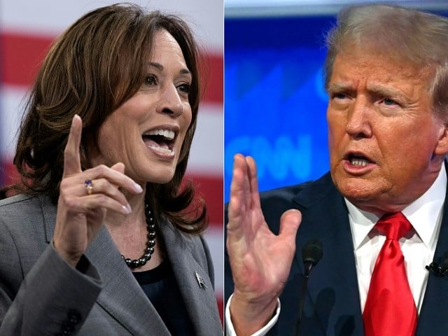 Kamala Harris's Gut Punch And Freedom Hall Flashbacks: Trump Rally Boredom Is Real