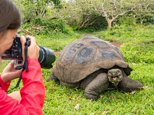 Get acquainted shooting pictures of wild animals (like this guy) at the Louisville zoo's workshop.