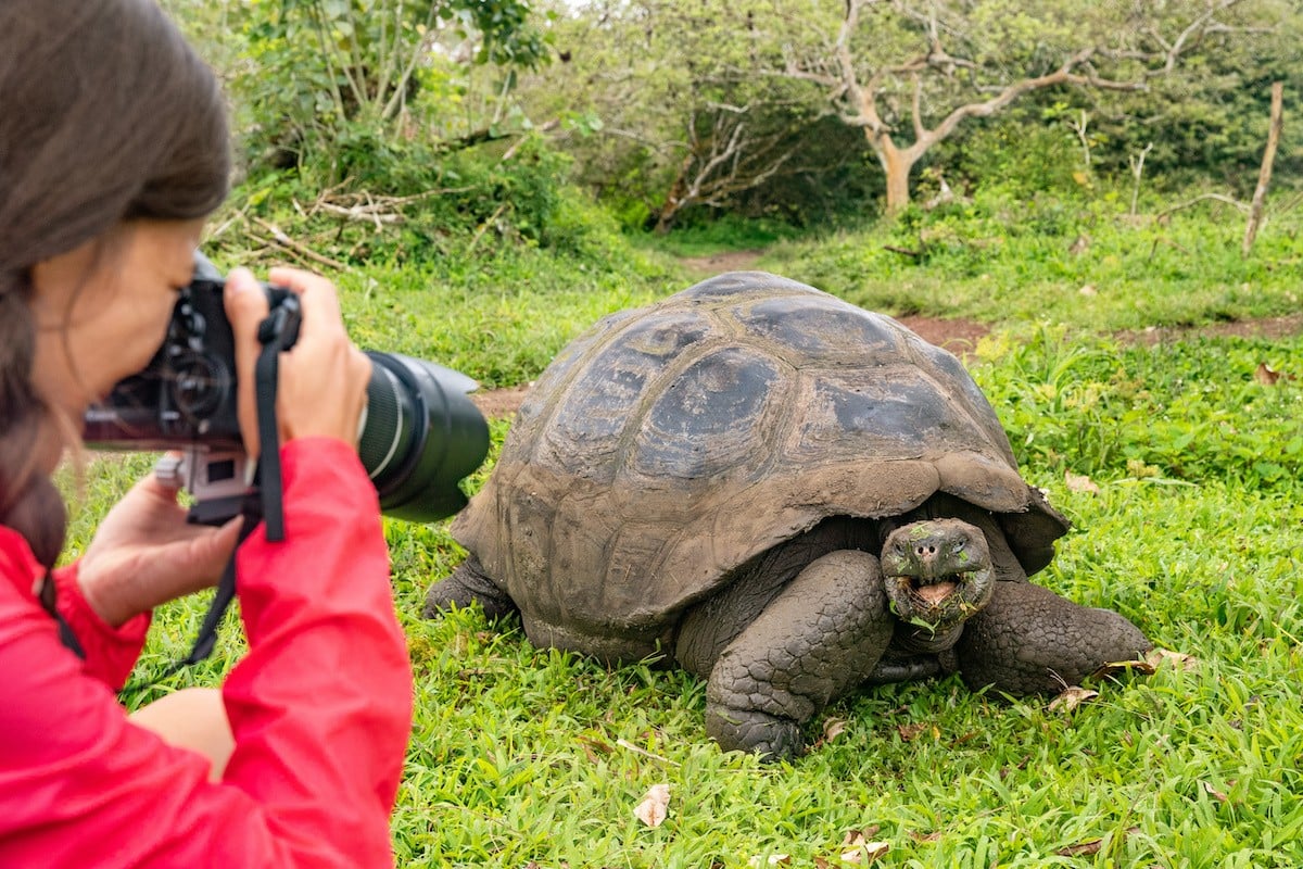 Get acquainted shooting pictures of wild animals (like this guy) at the Louisville zoo's workshop.