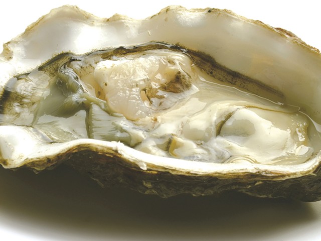 LEON: Herpes epidemic killing millions of oysters