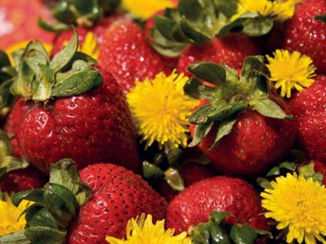 Locavore Lore: Springtime&#146;s star revealed &#151; behold the strawberry