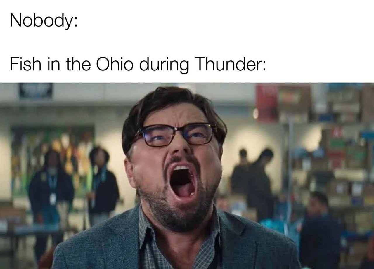 Meme City: Louisville In The Language of Memes Is The Best Thing Ever