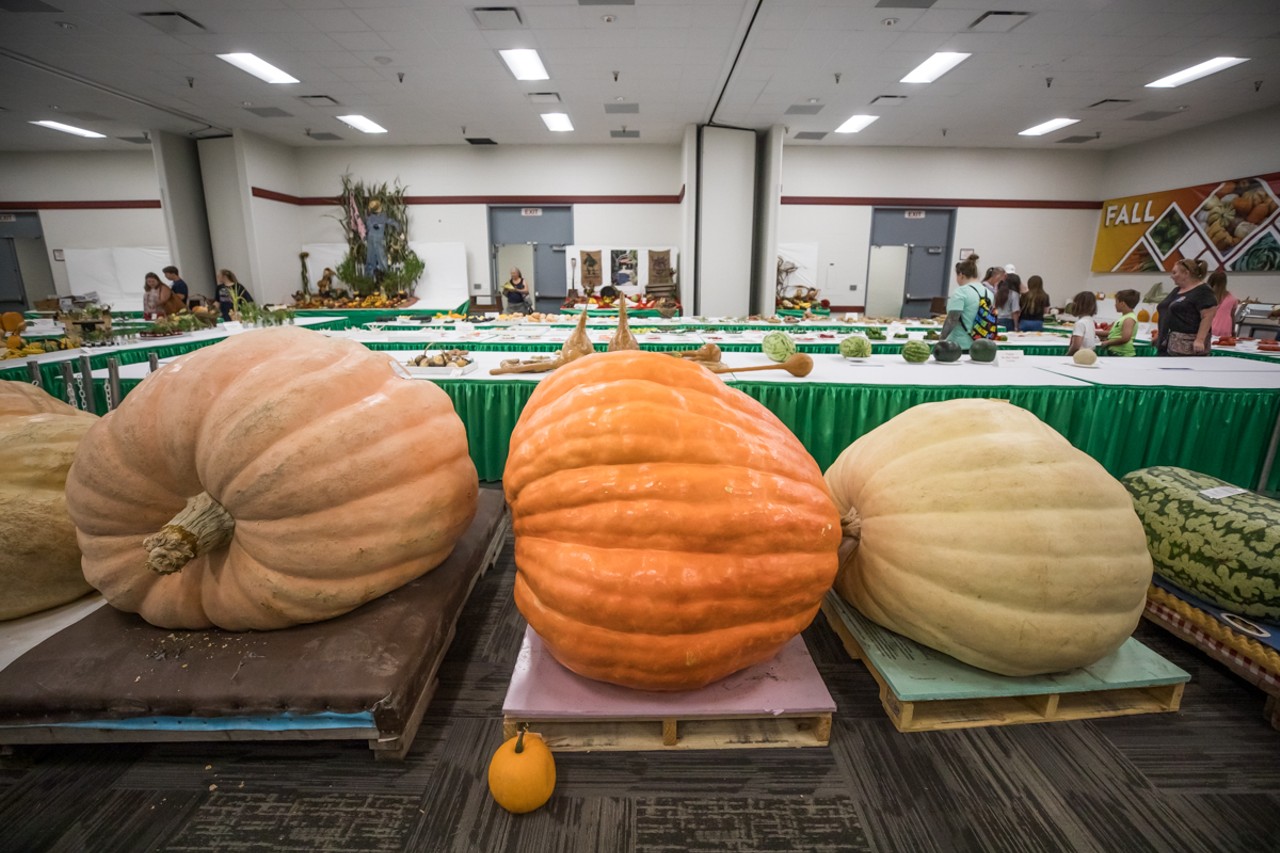 PHOTOS: Everything We Saw At The 2022 Kentucky State Fair