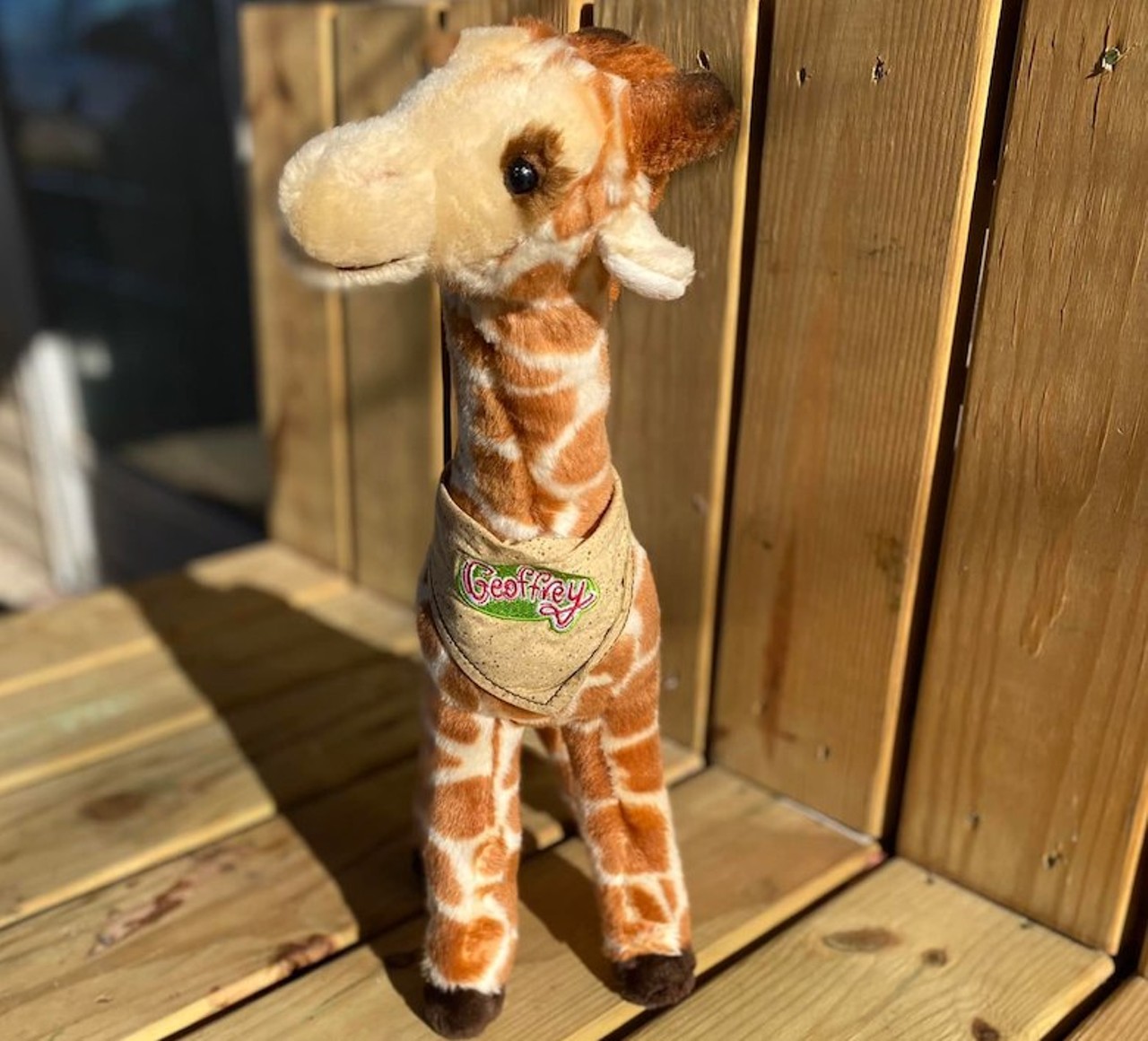 Found in Bowling Green, Kentucky
&#148;Found 12/11/21 in Bowling Green KY. Couple hours after we were hit. Located in debris in the Springhill area. I cleaned Geoffrey and hoping to find its owner.&#148;
Photo via Brandy Lindsey