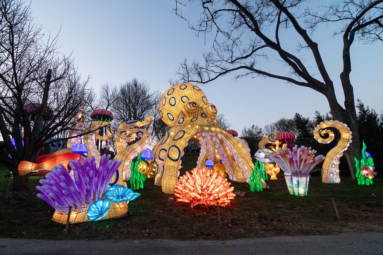 PHOTOS: Walk Through Wild Lights At The Louisville Zoo (2024)