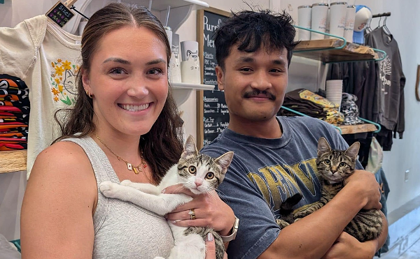 Rosewood and Anastasia were both adopted to be the 9,999th and 10,000th cats adopted from Purrfect Day Cat Café.