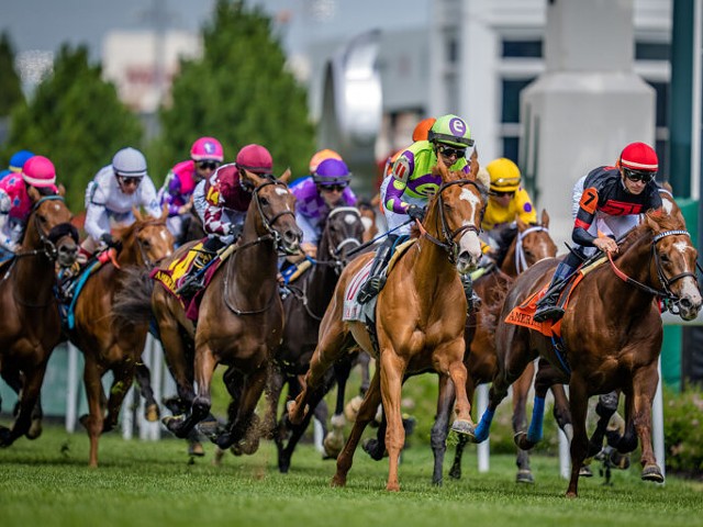 See which horses we like the most going into the 150th Kentucky Derby.
