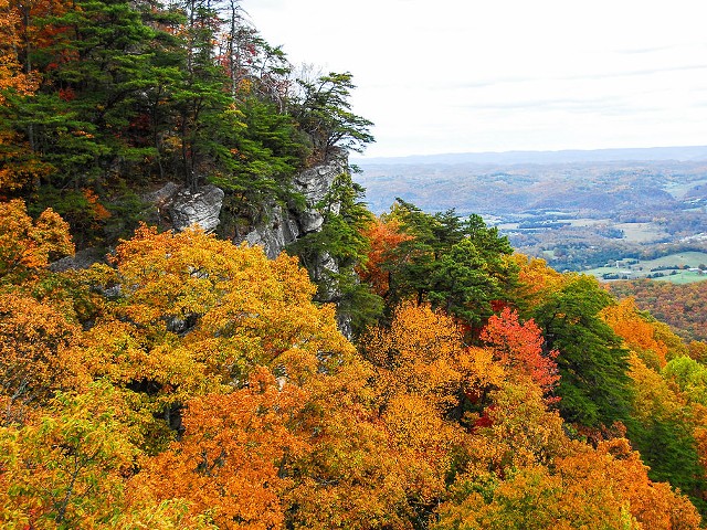 Peak Fall Foliage Colors in Louisville
