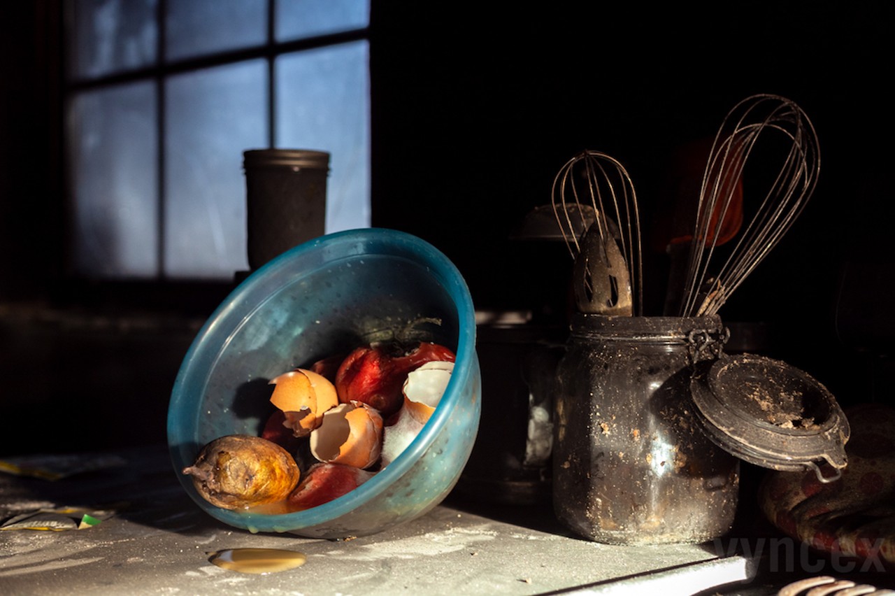  Color Photography: First Place 
Decaying Organic Matter 
By Vyncex Gorlami