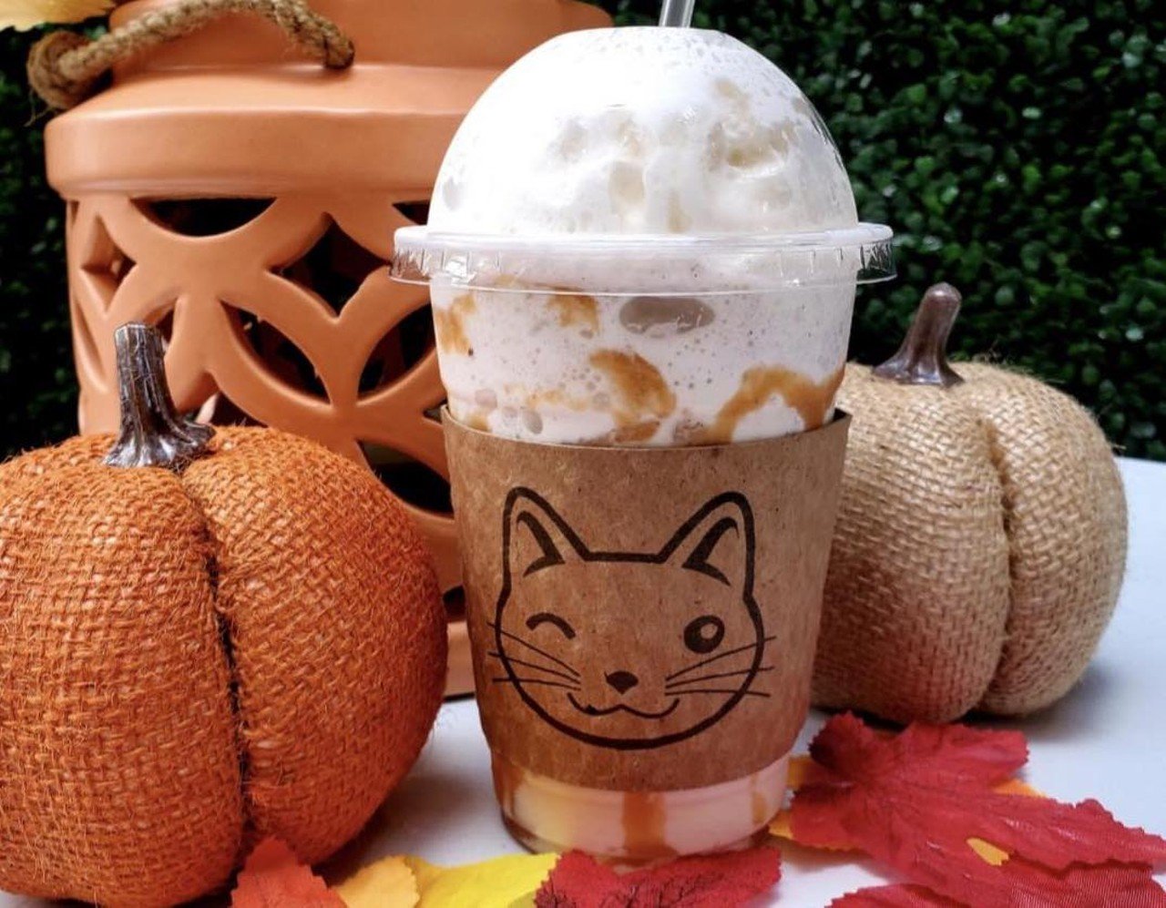 Frozen Calicozy FrappePurrfect Day Cat CafeSip on this yummy fall creation while you pet some sweet kitties. It features a frozen blend of pumpkin, vanilla, and honey syrups with a dash of pumpkin pie spice. Topped with whipped cream.