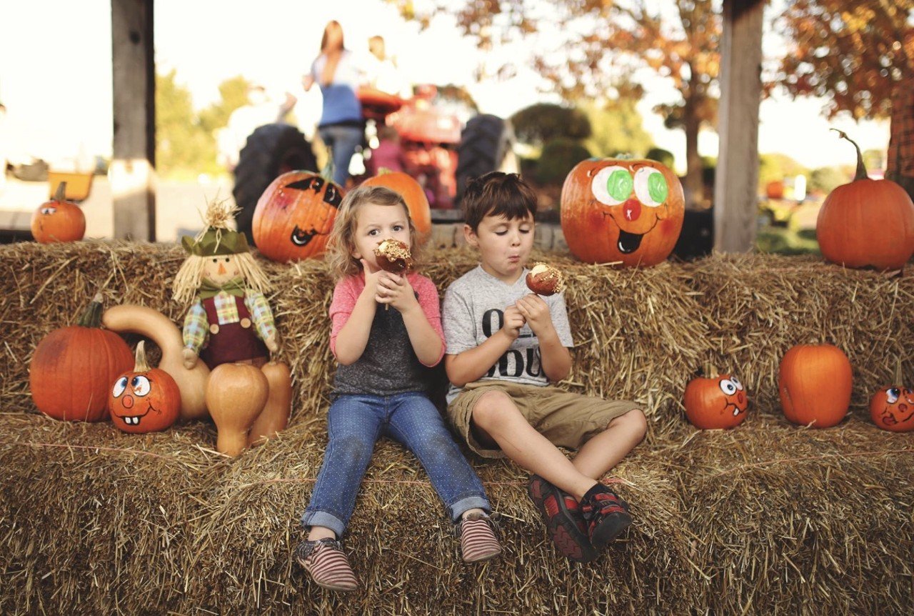 Huber's Fall Festival Sunday 10/6Huber Winery, 19816 Huber Rd., Borden, INFamily friendly harvest festival