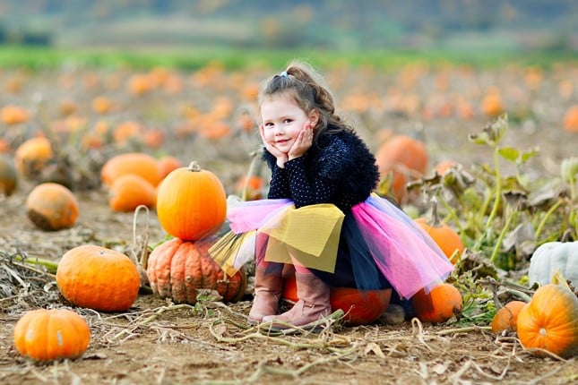 Go Punkin’ Pickin’
various 
 Kids for eons have been excited each year to walk through a muddy field of tangled vines and cut a pumpkin. Most pumpkin patches these days have the gourds pre-cut sitting beside the vine. Some farms even have other fall treats to accompany a day of punkin’ pickin’.