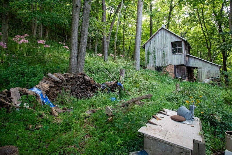 View of the workshop, woodshed, and painting studio. Courtesy Payne Hollow on the Ohio. Credit John Nation. - John H. Nation