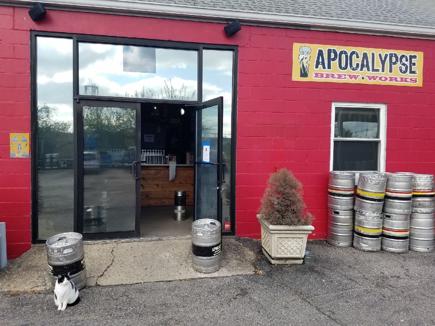 Saki, one of the two Apocalypse Brew Works cats, and social distancing setup. Photo provided by Apocalypse Brew Works.