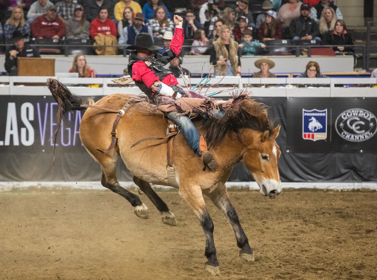 All The Bucking And Wrangling We Saw At The North American Championship Rodeo In Louisville