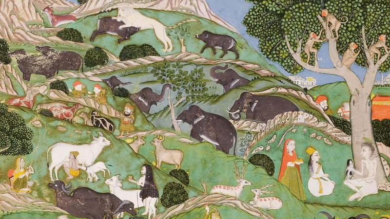Detail of “Scenes from the courtly hunt (Layli visits Majnun in the wilderness).” Deccan, Telangana, Hyderabad, ca. 1770. Ink and opaque watercolor on paper; 13 5/8 x 9 1/2 in. (34.6 x 24.1 cm). - Courtesy of Speed Art Museum