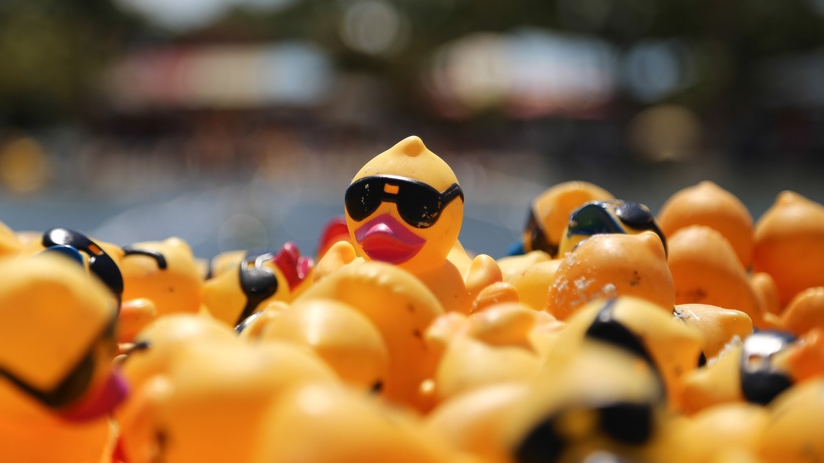 Adopt A Duck For A Good Cause At The 2024 KenDucky Derby