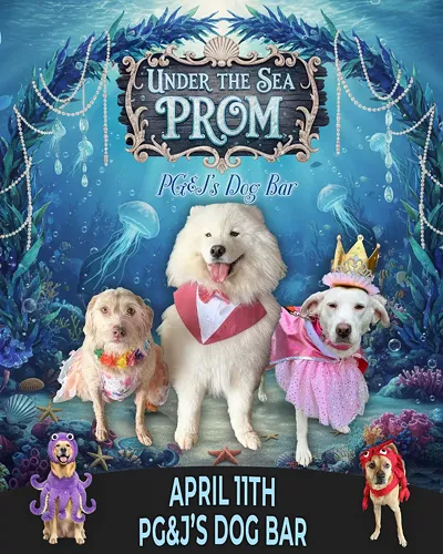 Image: Under The Sea Puppy Prom at PG&J's Dog Bar