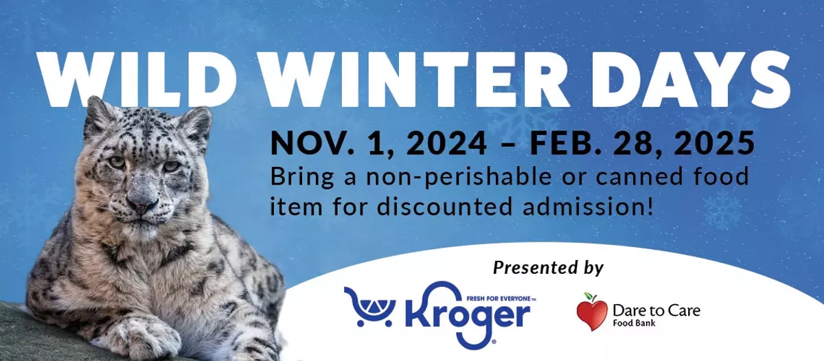 2024-wild-winter-days.webp